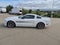 2008 Ford Mustang GT Premium