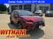 2019 Lexus NX 